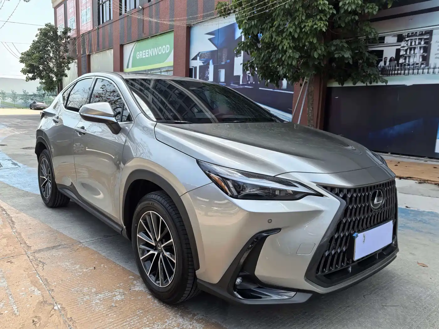 LEXUS NX
