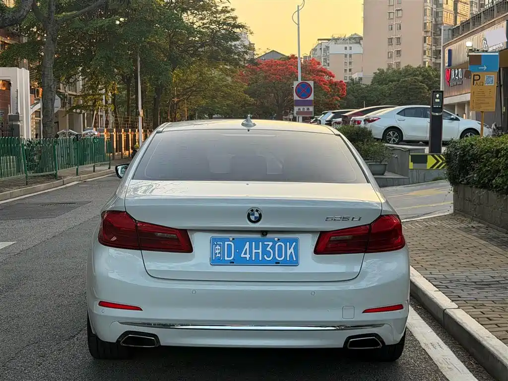 BMW 5 Series 2019 525Li M Sport Package фото 12