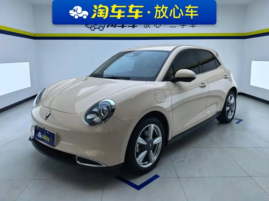 Ora Good Cat 2024 2023 401km Standard Range Luxury LFP