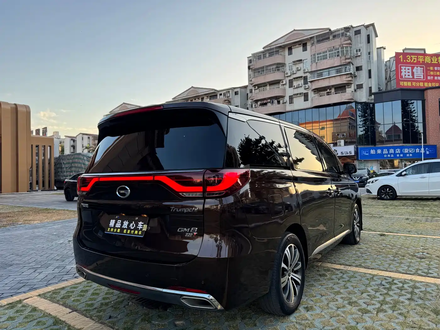GAC Trumpchi Trumpchi M8 2018 320T Premium Edition фото 6