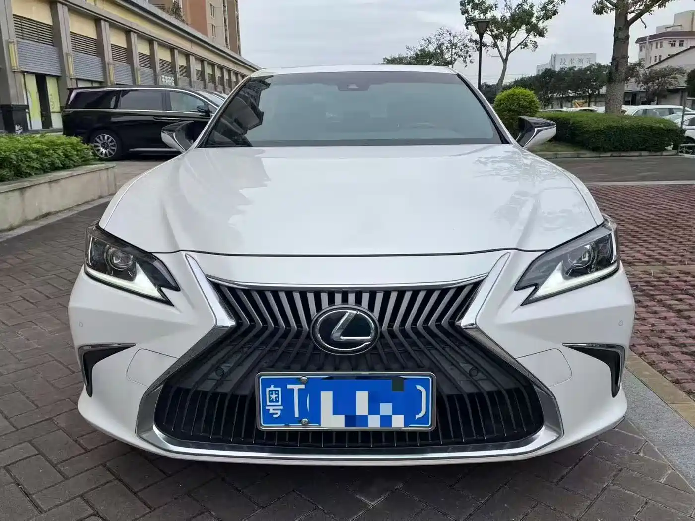 Lexus ES 2020 200 Excellence фото 2