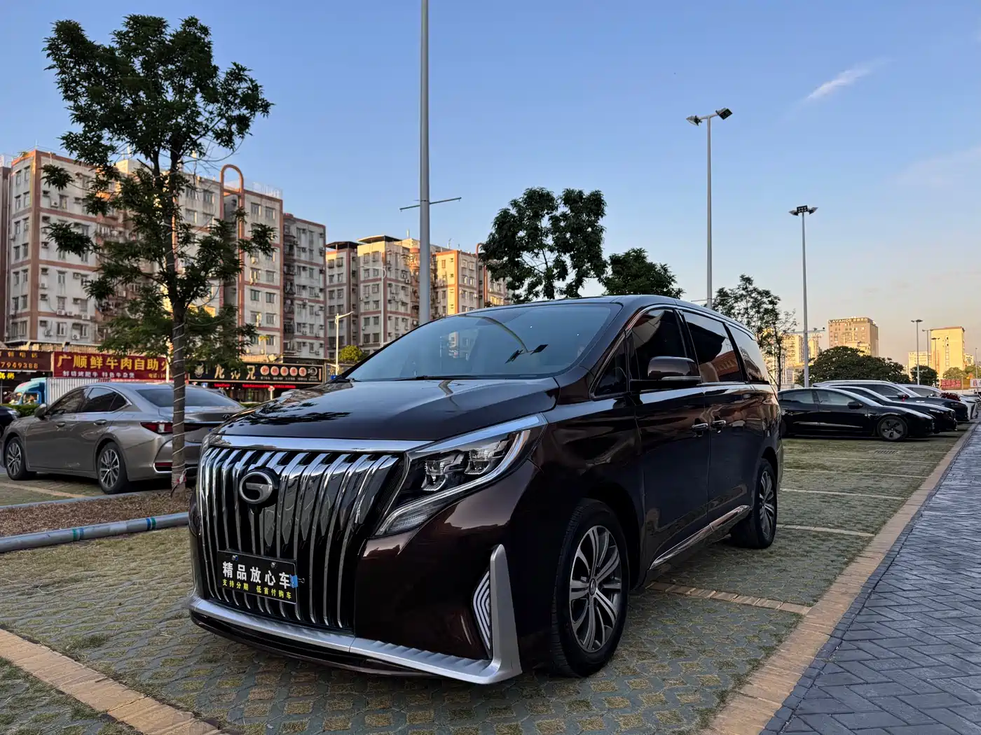 GAC Trumpchi Trumpchi M8 2018 320T Premium Edition