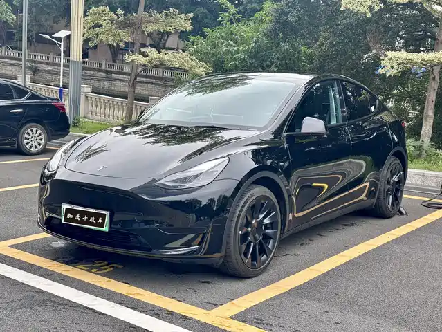 Tesla Model Y 2022 Rear-Wheel Drive Version