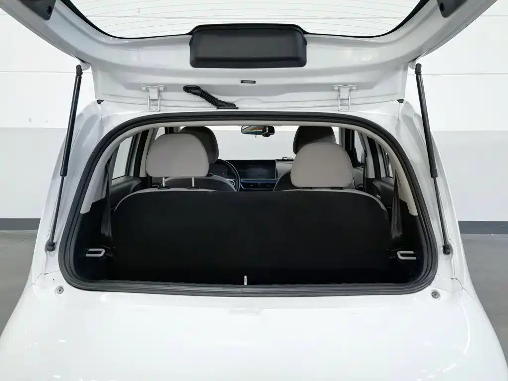 Ora White Cat 2021 2020 360km Luxury Model
