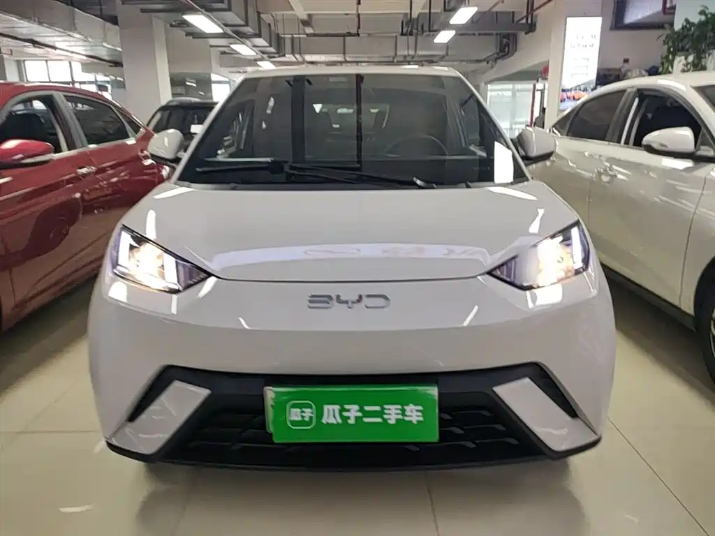 BYD Seagull 2024 Glory Edition 305km Vitality Edition фото 3