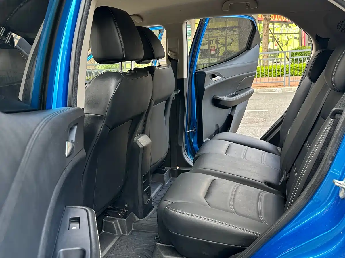 BYD Yuan New Energy 2019 EV535 Smart Connected Trend Leader Type фото 16