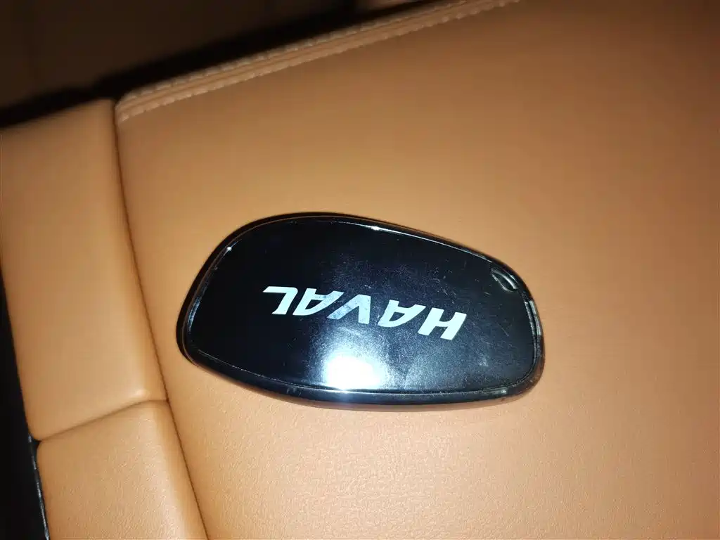 Haval Meng Long NEV 2024 Hi4 102 Pro фото 9