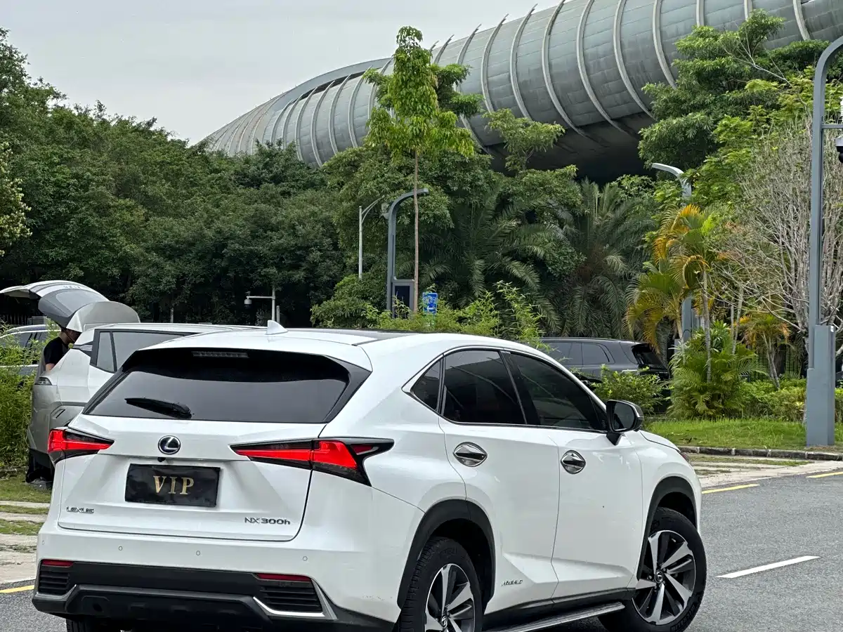 Lexus NX 2018 Model 300h AWD Fengzhi Edition China V фото 8