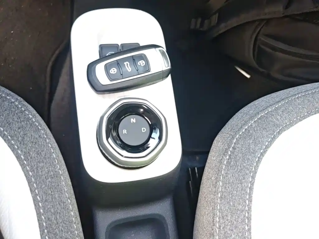 Geely Galaxy Panda 2026 2025 Panda mini 210km Vitality Bear
