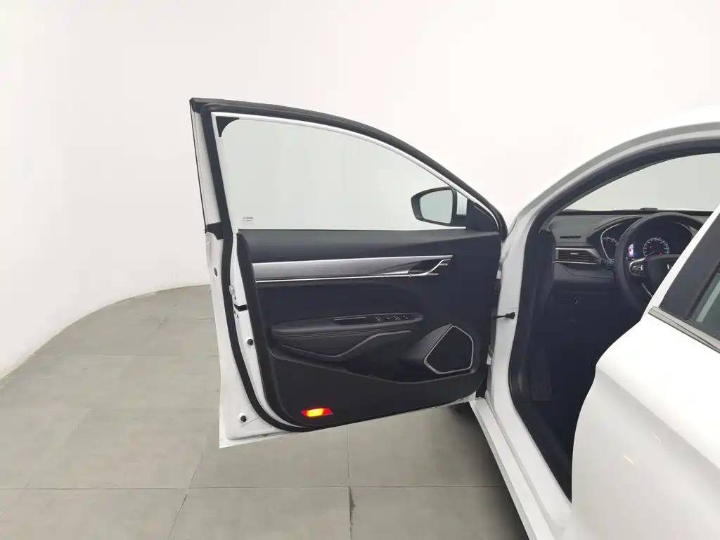 Фото 8 - Geely Binrui