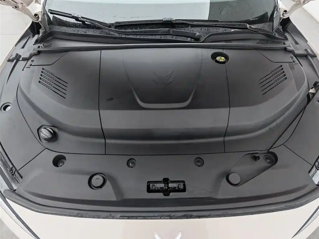 ARCFOX EXTREME FOX POLAR FOX ALPHA S5