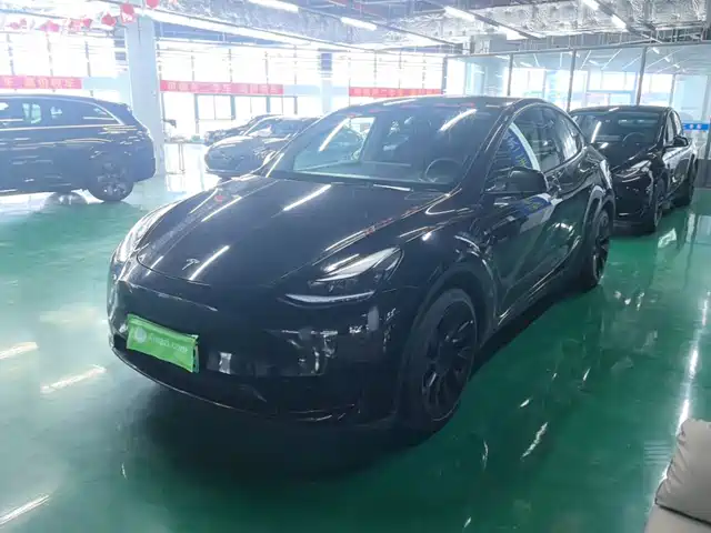 Tesla Model Y Рестайлинг, задний привод