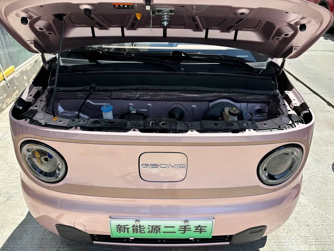 Geely Galaxy Panda 2024 Panda mini 200km Endurance Bear фото 6