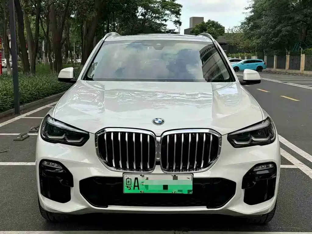 BMW X5 New Energy(Imported) 2020 xDrive45e M Sport Package фото 3