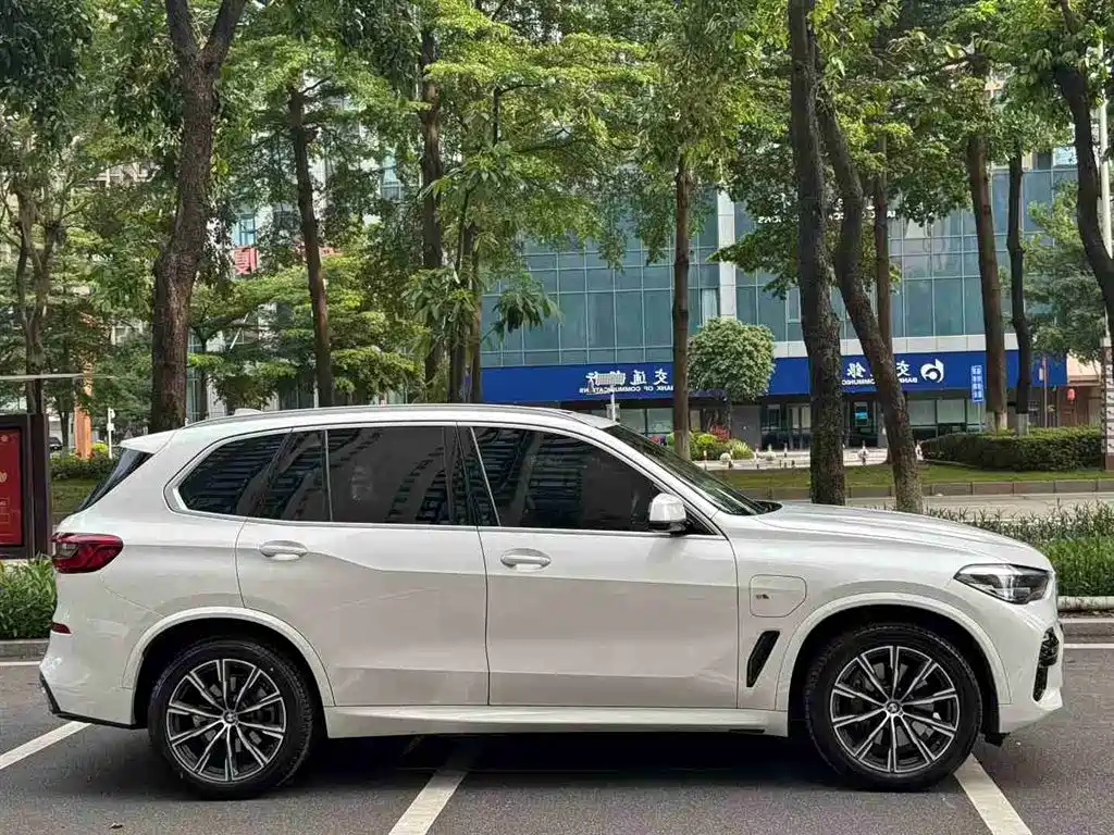 BMW X5 New Energy(Imported) 2020 xDrive45e M Sport Package фото 4