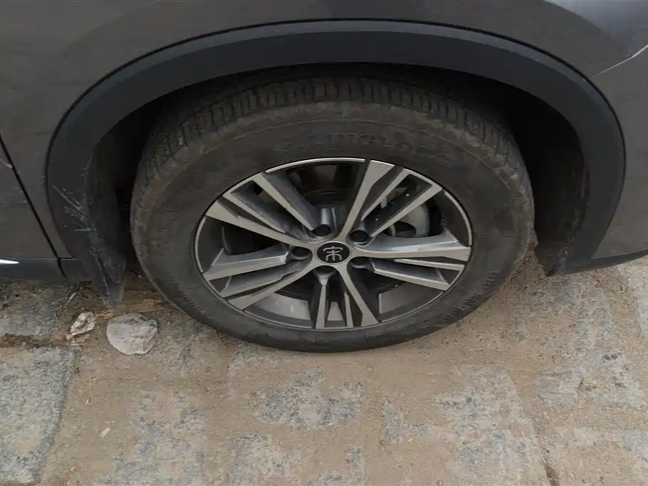 BYD Song Pro New Energy 2022 DM-i 51km Premium фото 6