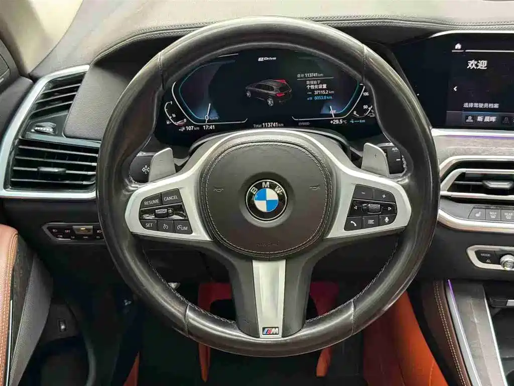 BMW X5 New Energy(Imported) 2020 xDrive45e M Sport Package фото 6