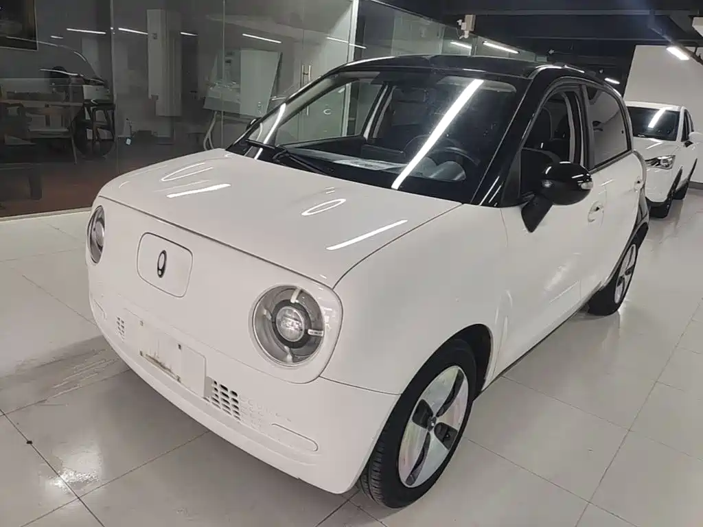 Ora Black Cat 2021 2021 301km Pet Edition