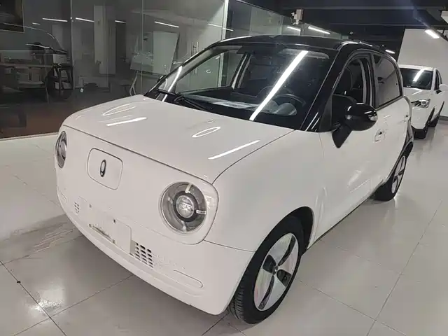 Ora Black Cat 301km, Милый питомец