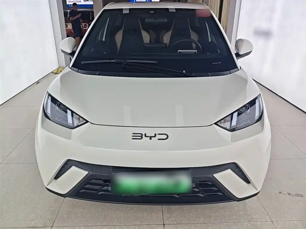BYD Seagull 2024 Glory Edition 305km Vitality Edition фото 3