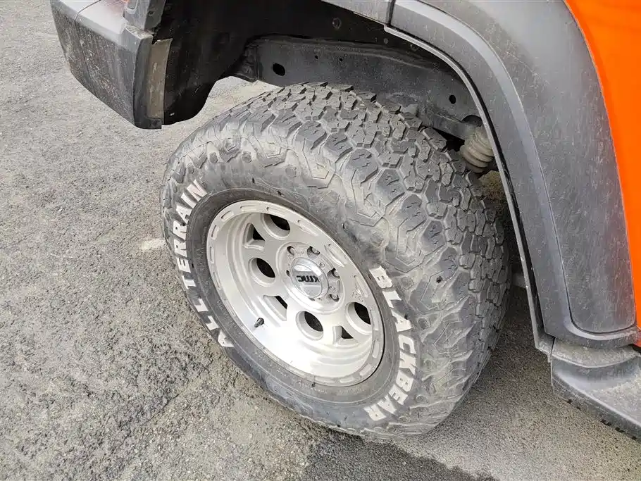 Tank 300 2023 Off-Road Edition 2.0T Conqueror фото 6