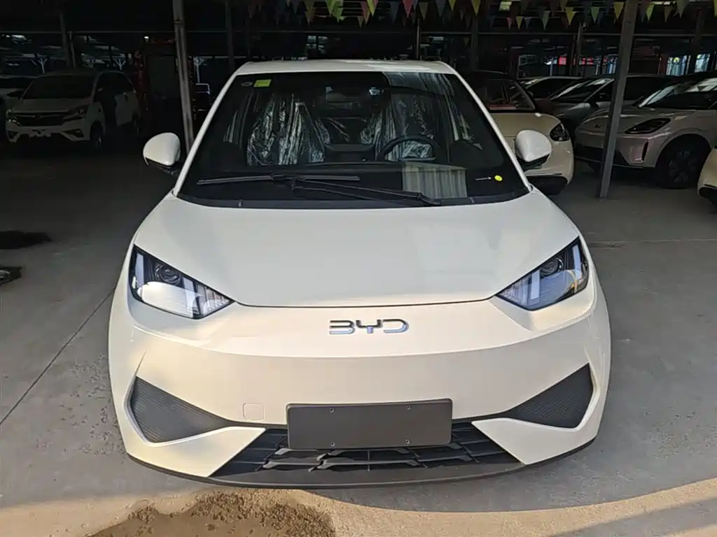 BYD Seagull 2025 Smart Drive Edition 305km Vitality Version фото 3