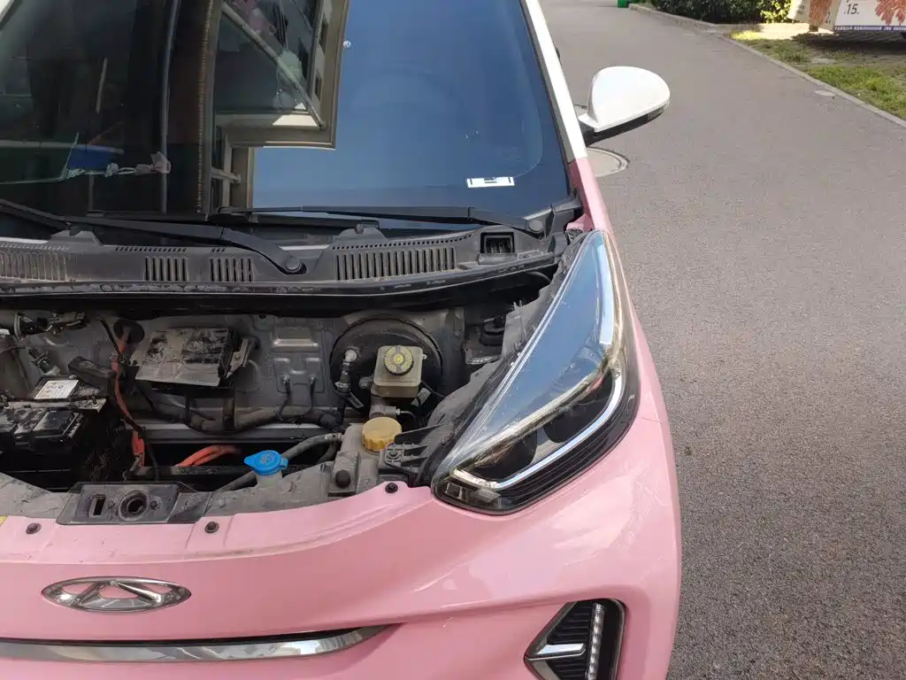 QQ New Energy Little Ant 2023 2023 251km True Love Edition LFP