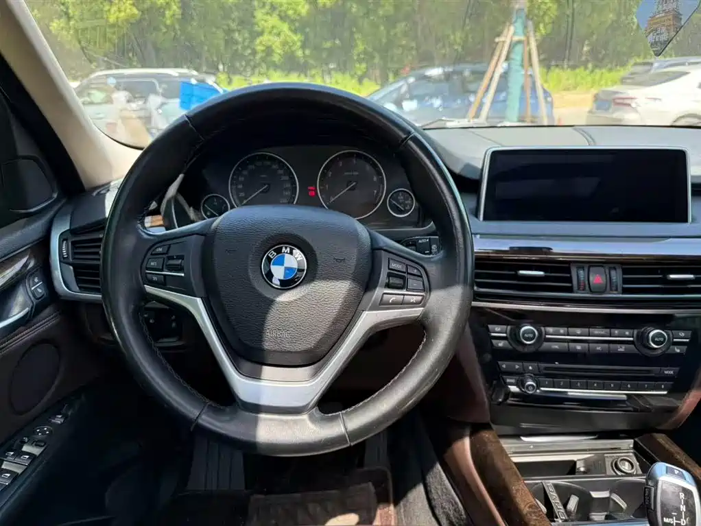 BMW X5 (Import) 2017 xDrive35i Elegance фото 13