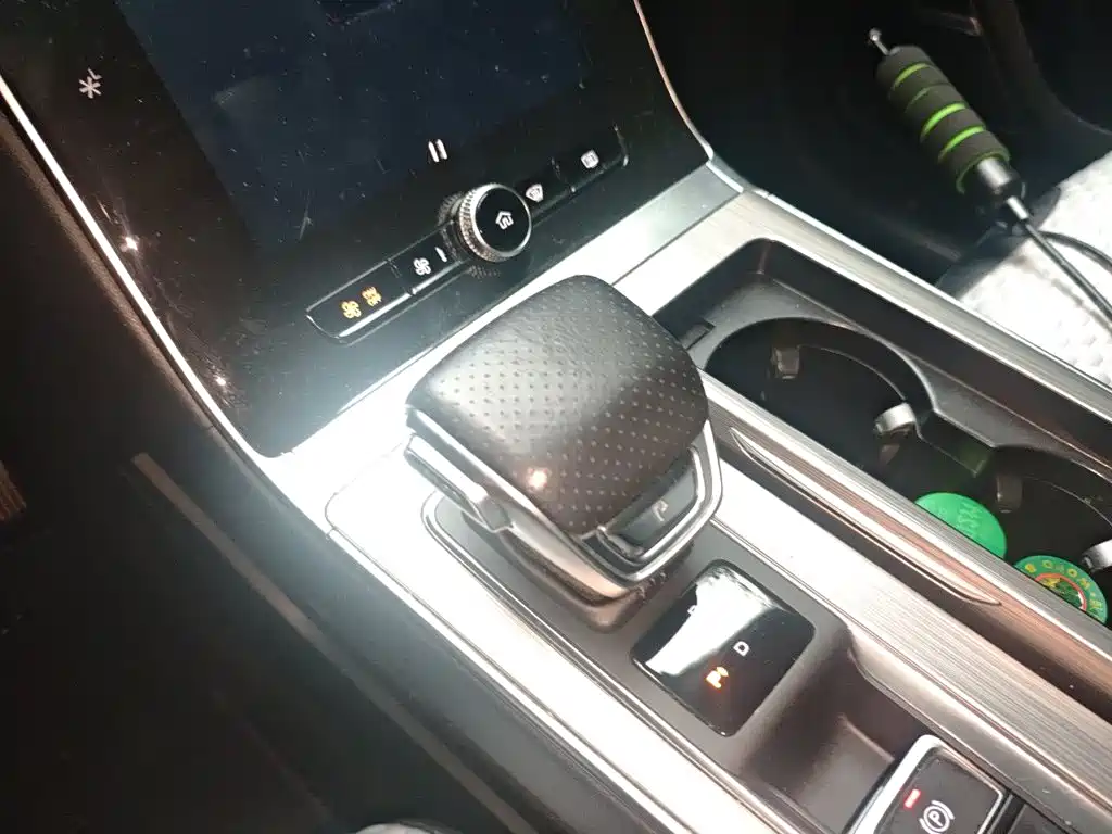Roewe RX5 New Energy 2021 2020 ePLUS Guochao Ronglin Luxury Edition