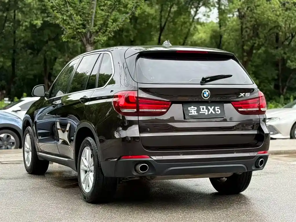 BMW X5 (Import) 2017 xDrive35i Elegance фото 6