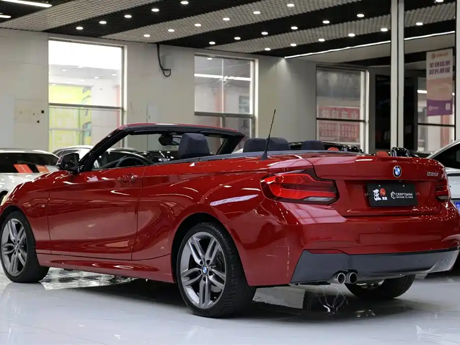 BMW 2 Series (Import) 2018 225i Convertible Coupe M Sport фото 26
