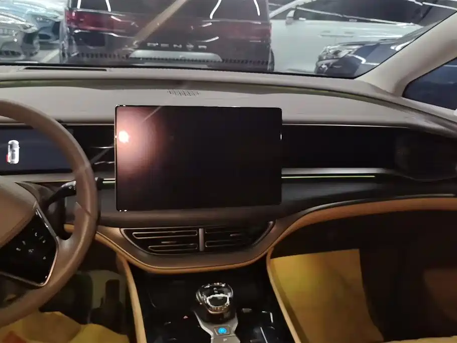 Denza D9 2022 DM-i 970 AWD Flagship фото 13