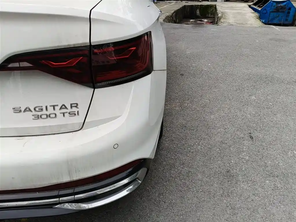 Volkswagen Sagitar 2023 300TSI DSG Surpassing Edition фото 8