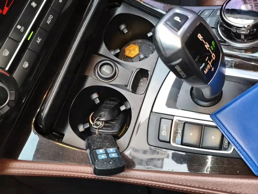 BMW 5 Series 2014 525Li Leading фото 12