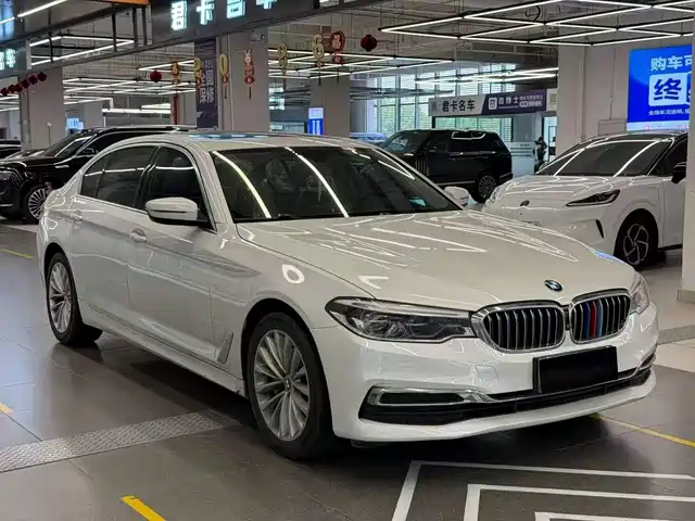 BMW 5 Series 2019 530Li Premium Luxury Package — фото 3