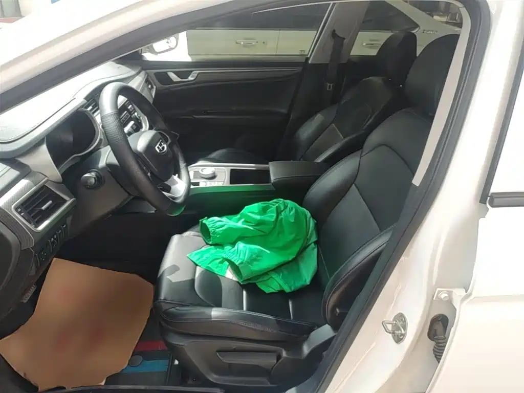 Geely Emgrand New Energy 2021 2021 EV Pro Ride-hailing Edition