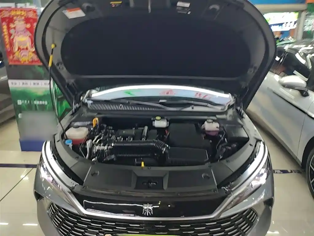 BYD Qin L 2025 DM-i Smart Drive Edition 80KM Leading фото 20