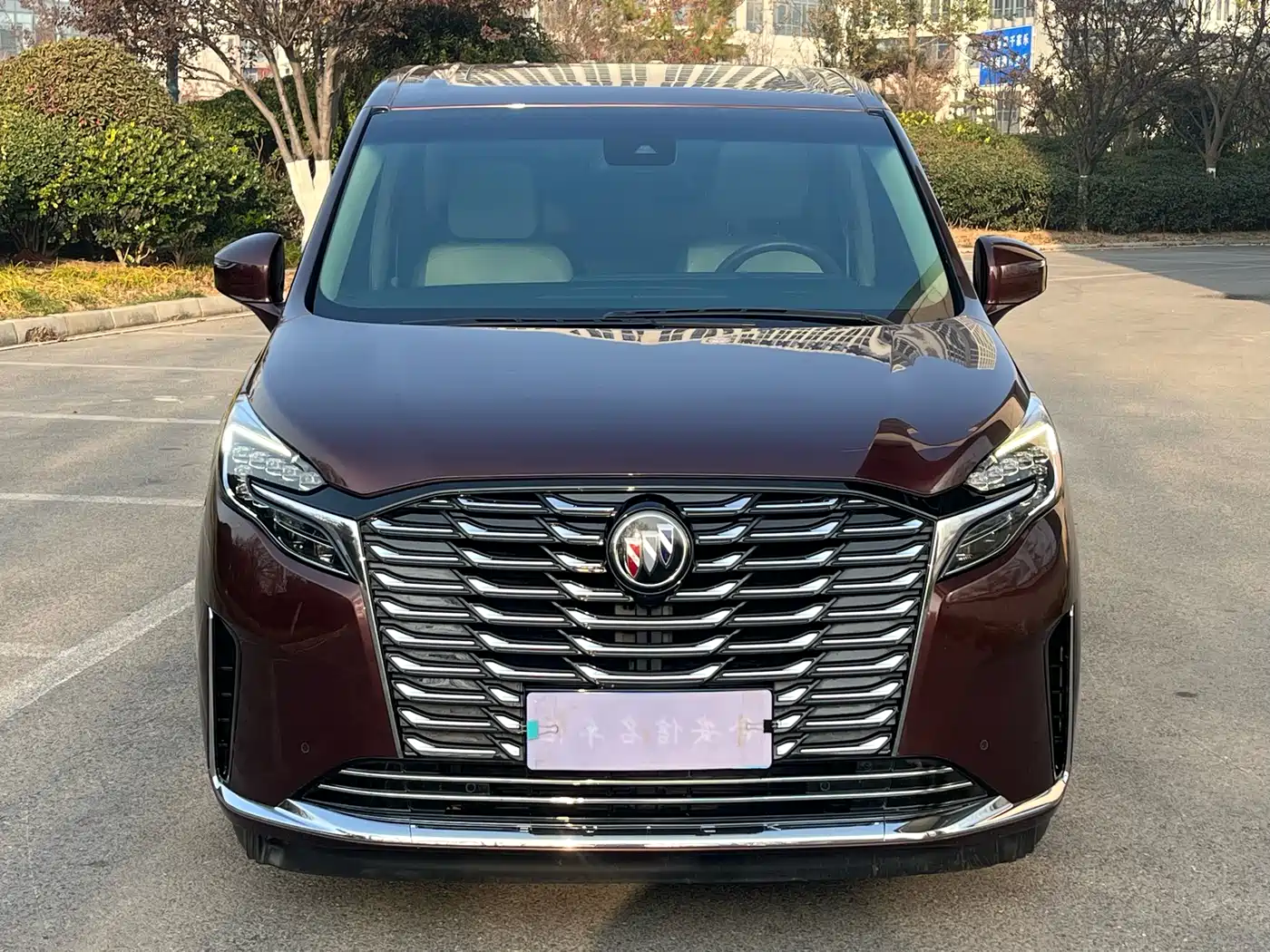 Buick GL8 2023 ES Landmaster Exclusive фото 2