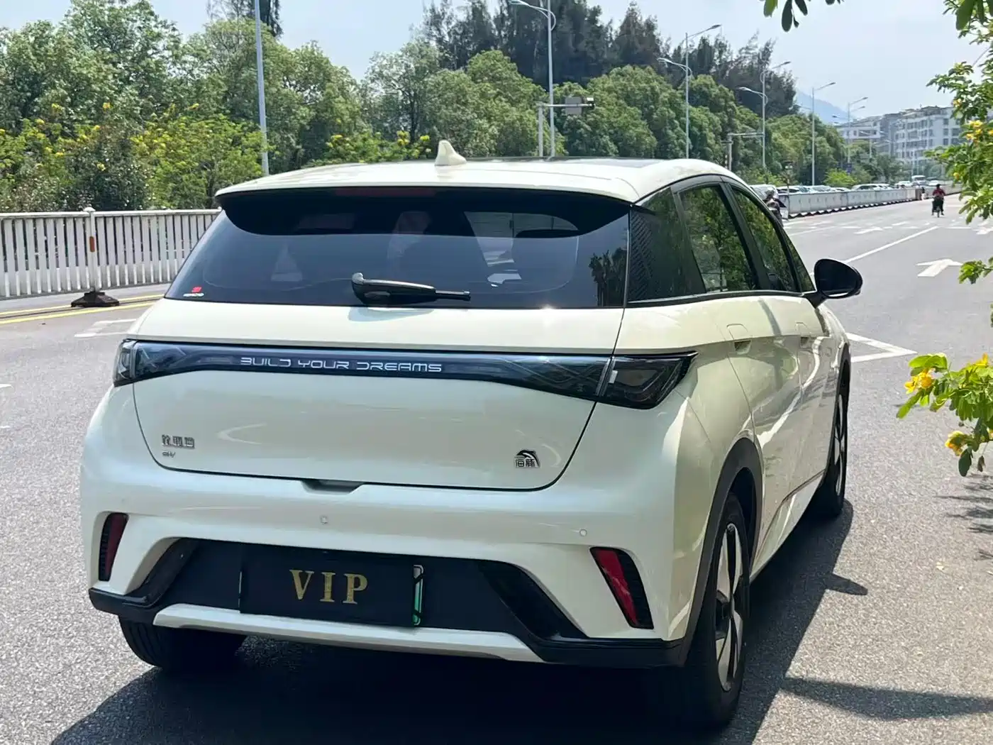 BYD Dolphin 2023 420km Fashion Edition фото 5
