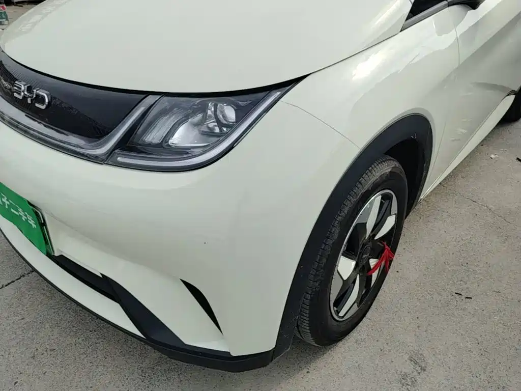 BYD Dolphin 2026 2025 420km Freedom Edition