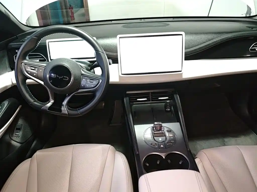 BYD Seal 06 New Energy 2024 DM-i 80KM Prestige фото 10