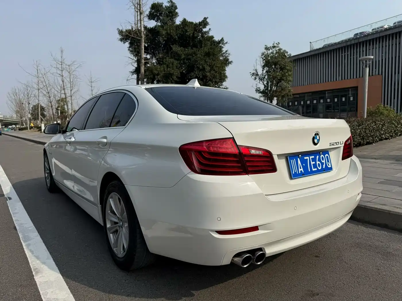 BMW 5 Series 2014 520Li Elegance фото 7