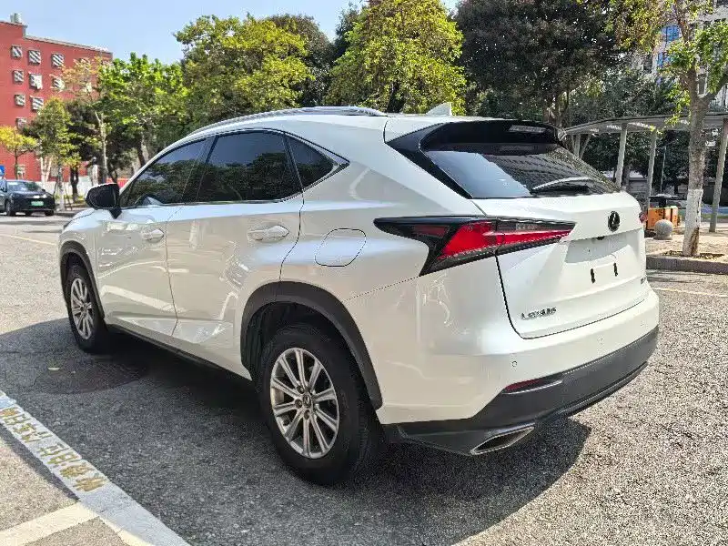 Lexus NX 2018 Model 300 FWD Fengxing Edition фото 9