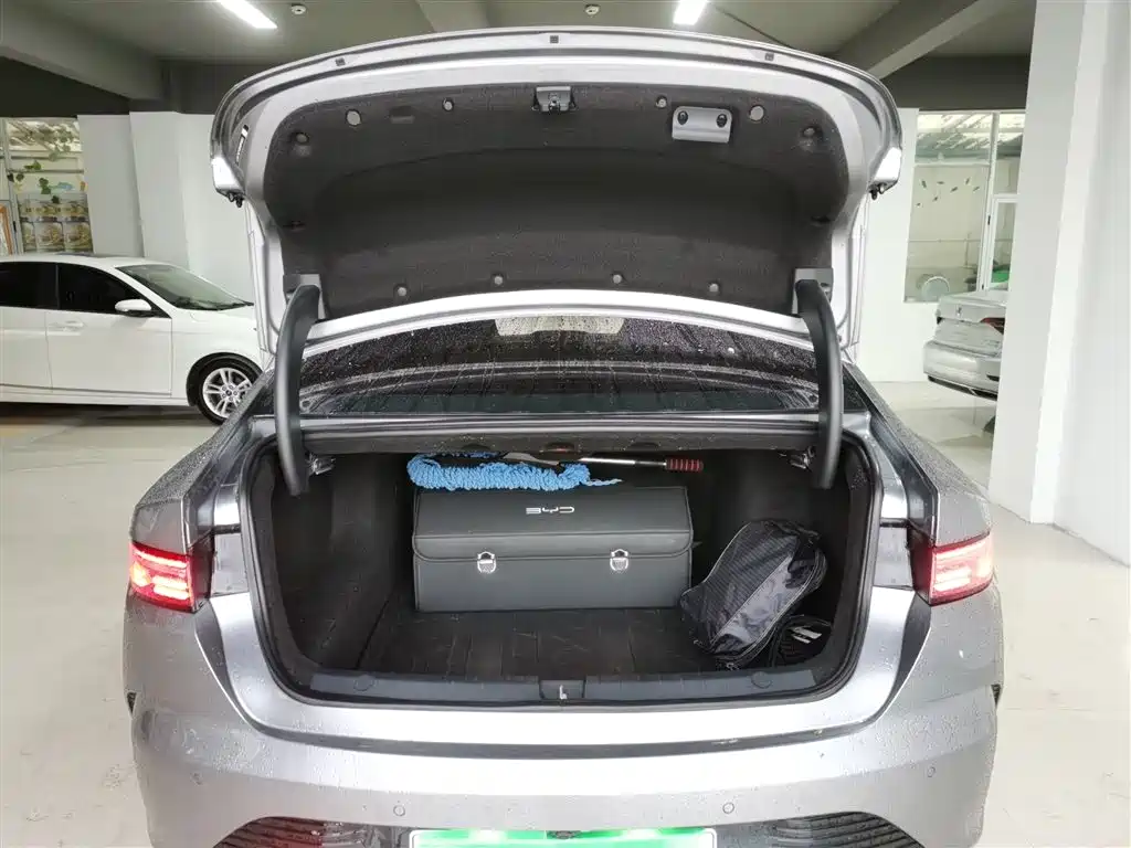 BYD Destroyer 05 2024 Glory Edition DM-i 55KM Luxury фото 15