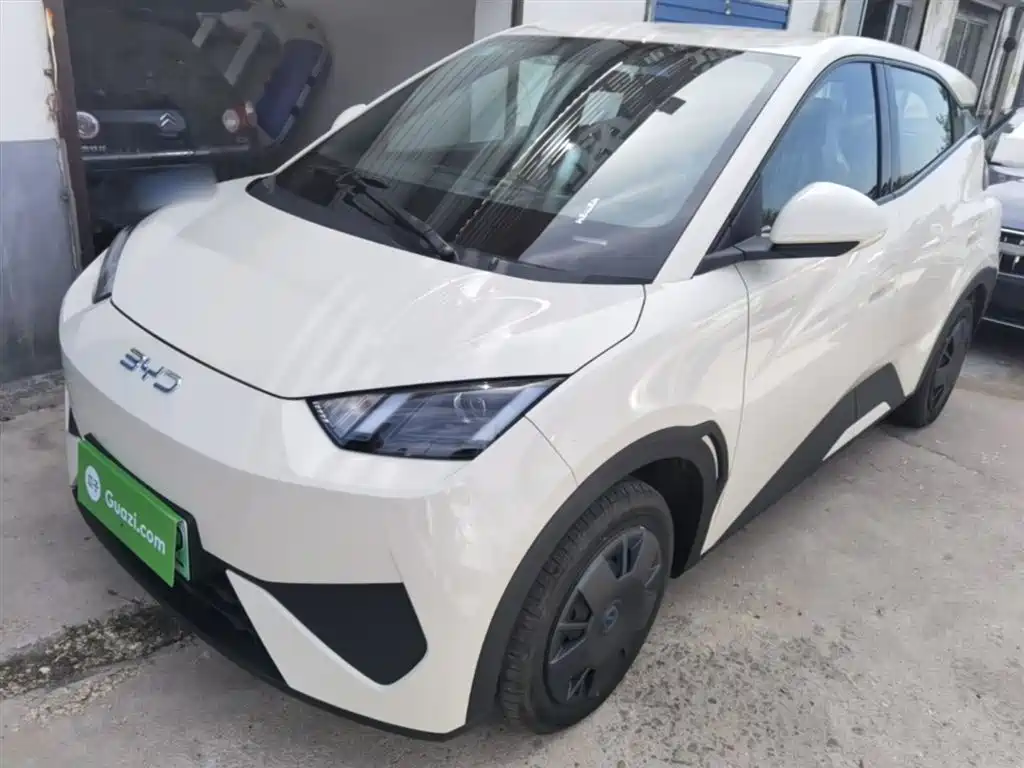 BYD Seagull 2025 Smart Drive Edition 305km Vitality Version