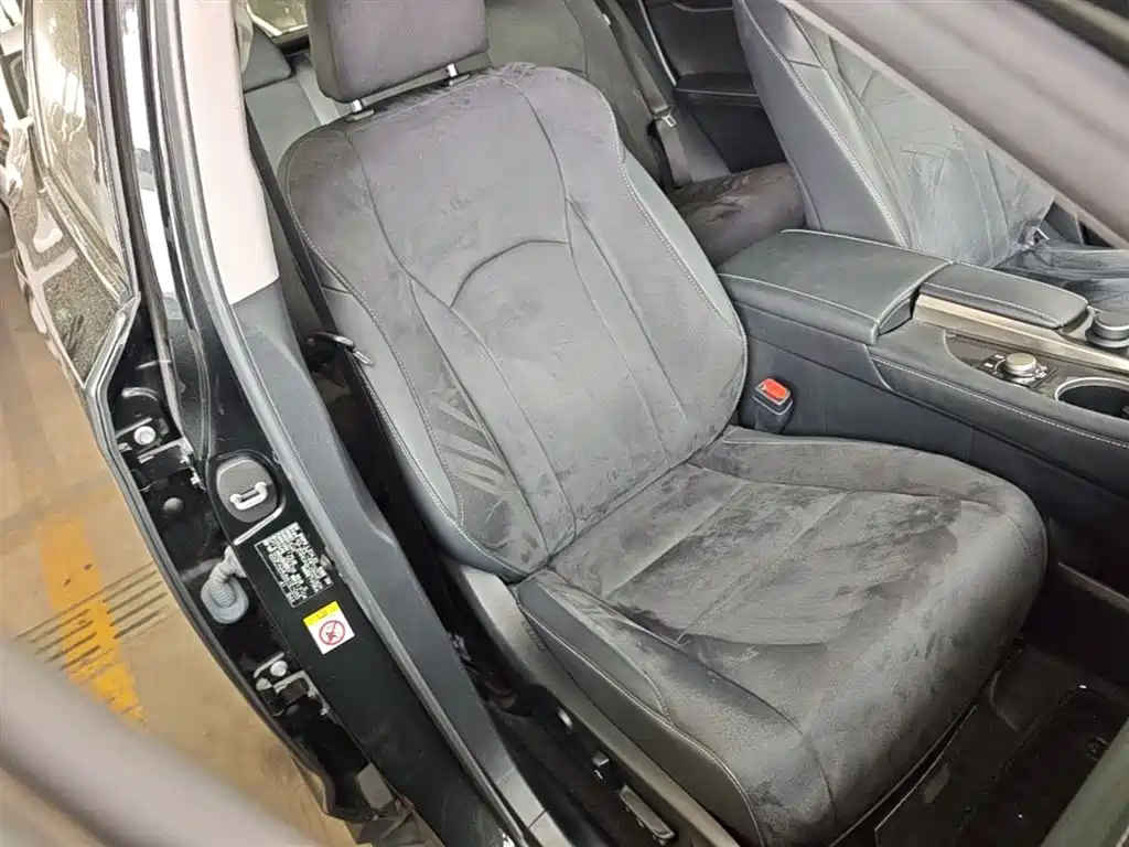 Lexus RX 2016 300 2WD Elite Edition (China V) фото 25