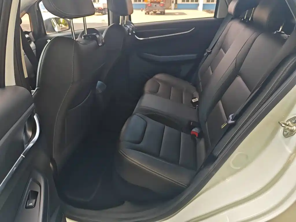 Geely Geometry EX3 Kung Fu Bull 2022 2021 Strong Bull