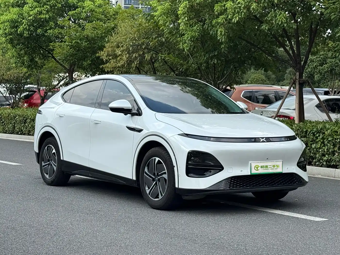 Фото 29 - XPeng G6