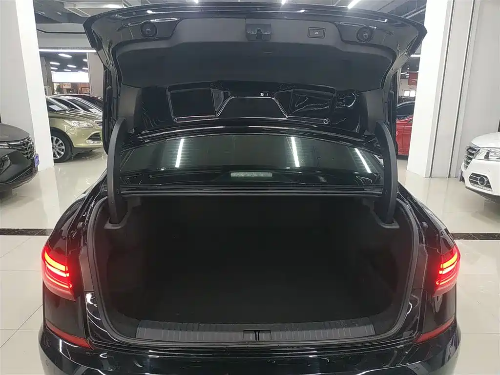 Volkswagen Passat 2022 330TSI Premium Edition фото 19