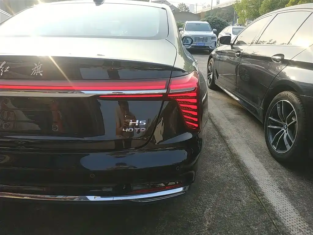 Hongqi H5 2024 2.0T Automatic Smart Connect Flag Smooth Edition фото 24